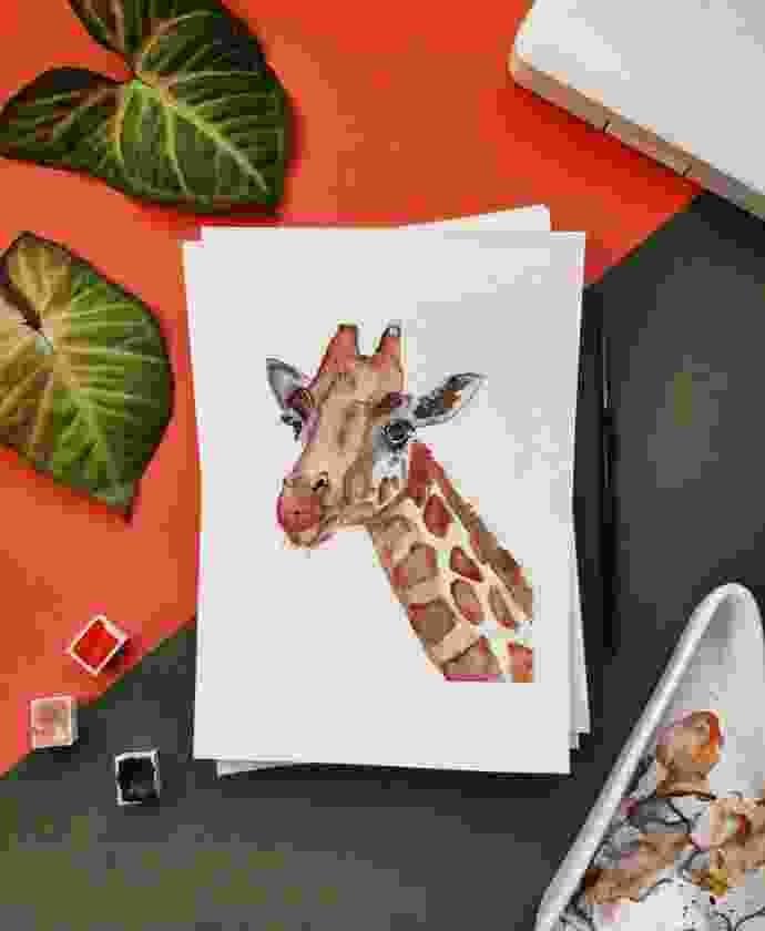 Shop Primary Image Shop Primary Image